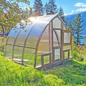 Beautiful-Backyard-Polycarbonate-Greenhouse